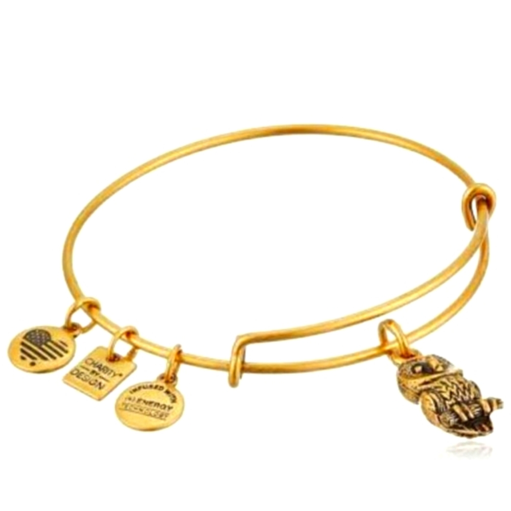 Alex and Ani Owl Charity Design Charm Bracelet